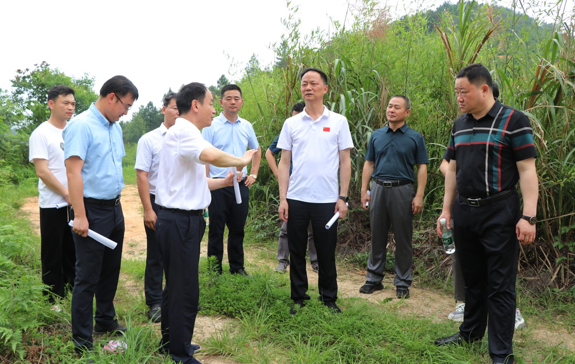 书记巡林.jpg
