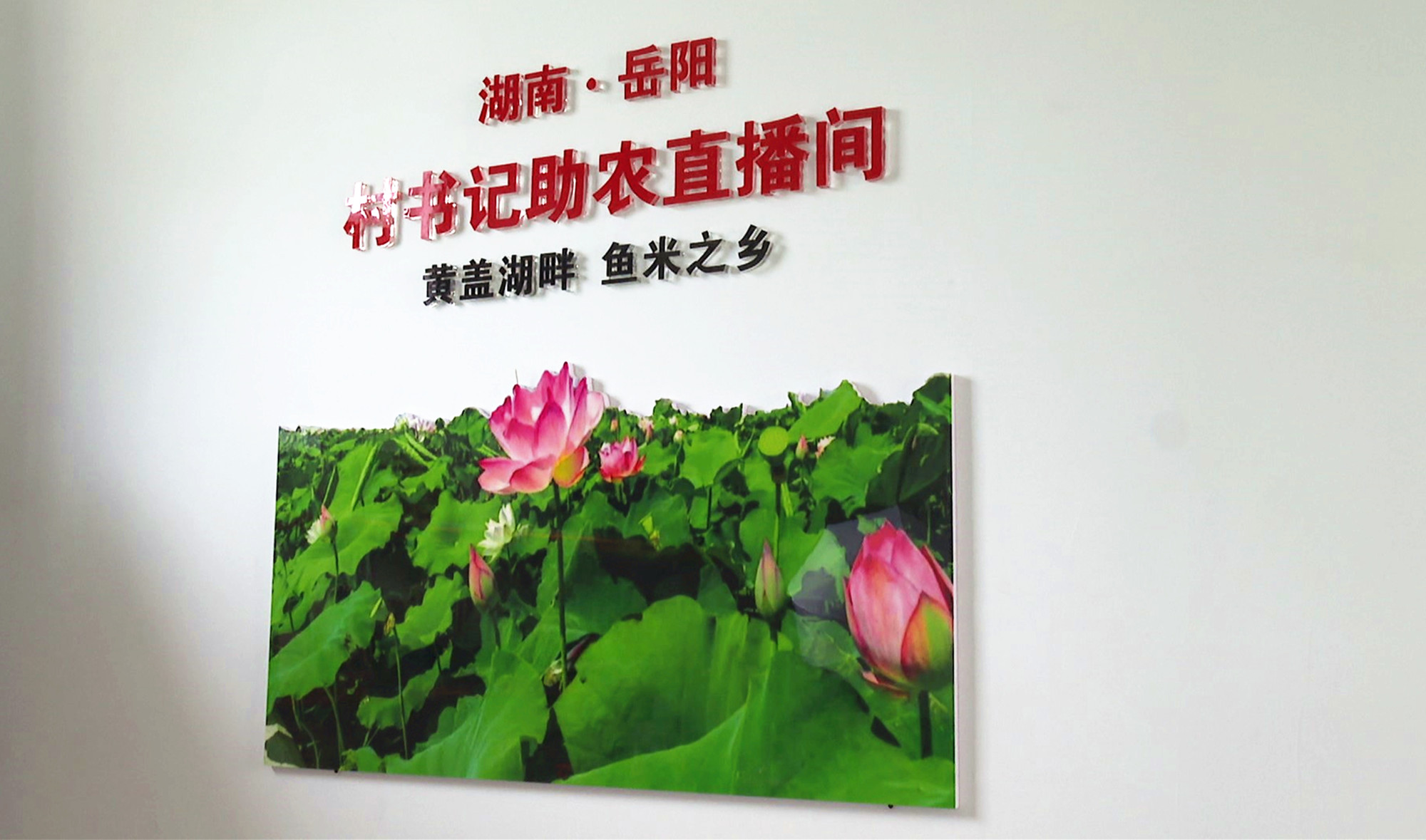1031聂市012_副本.jpg