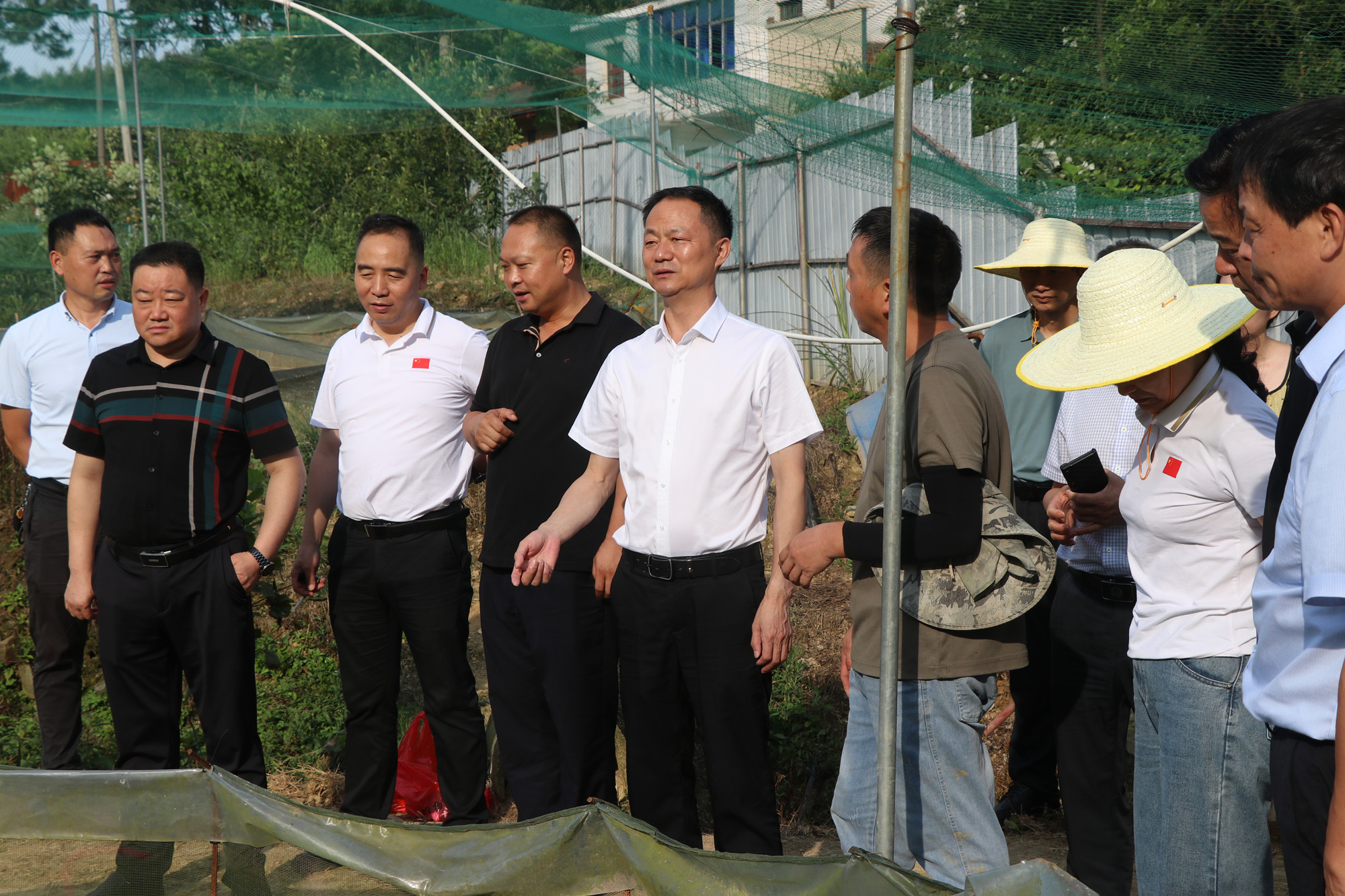 7.3书记调研忠防1_副本.jpg