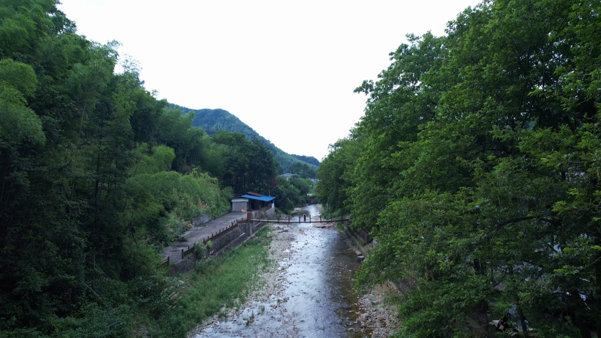 “三长”共护碧水清流 天然“氧吧”享自然019_副本.jpg