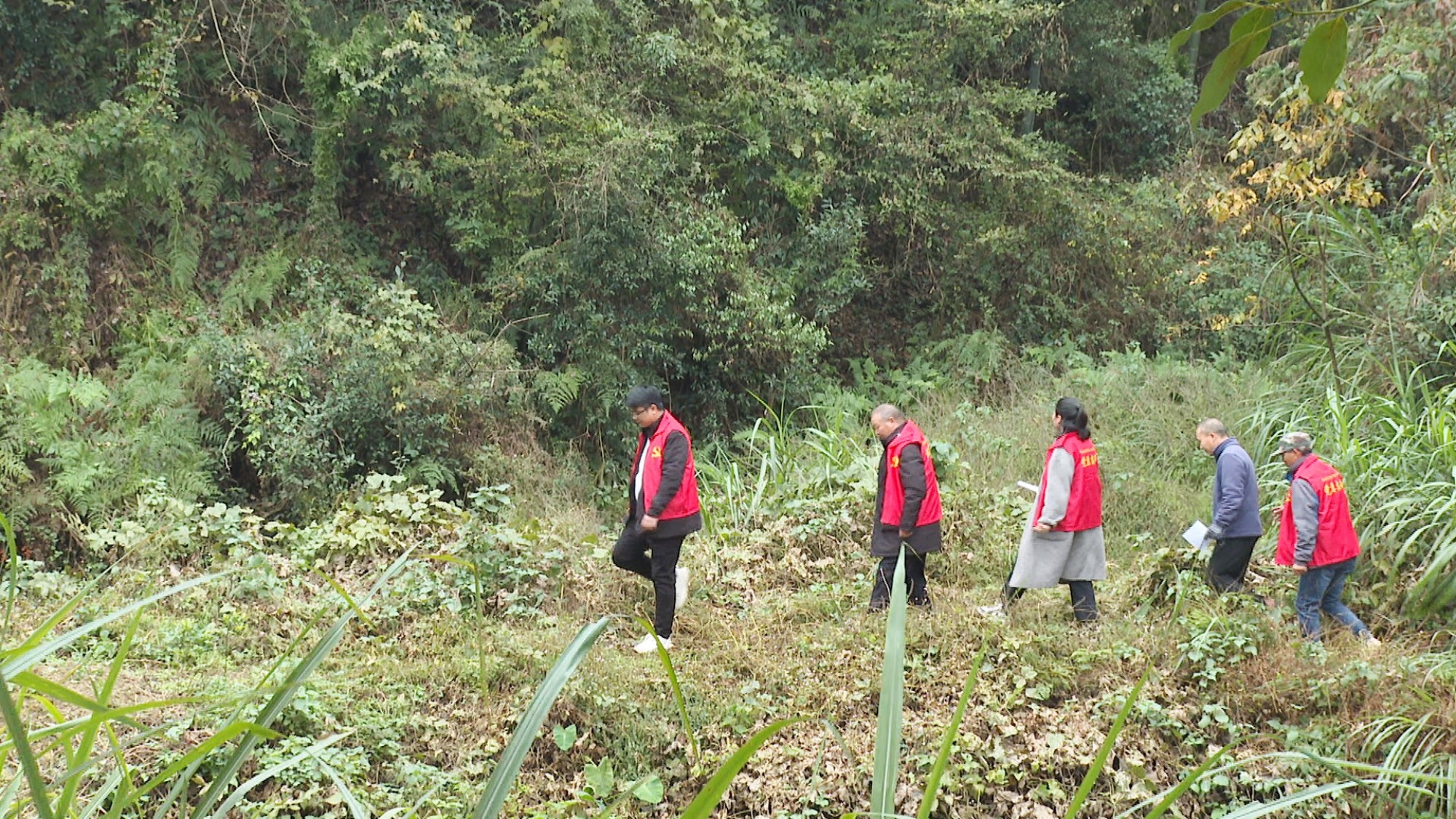 羊楼司文白002_副本.jpg