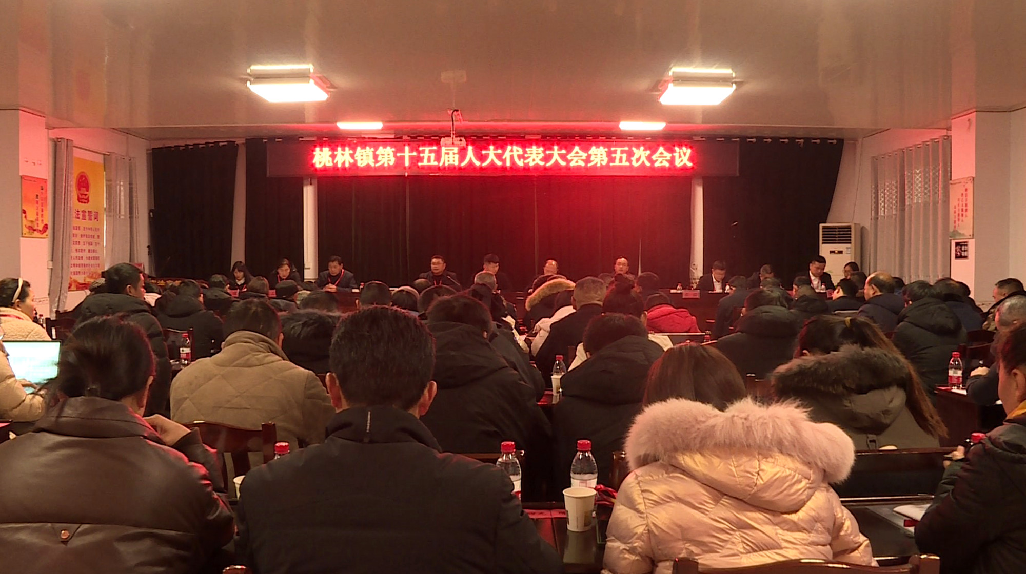 桃林人大会001_副本.jpg