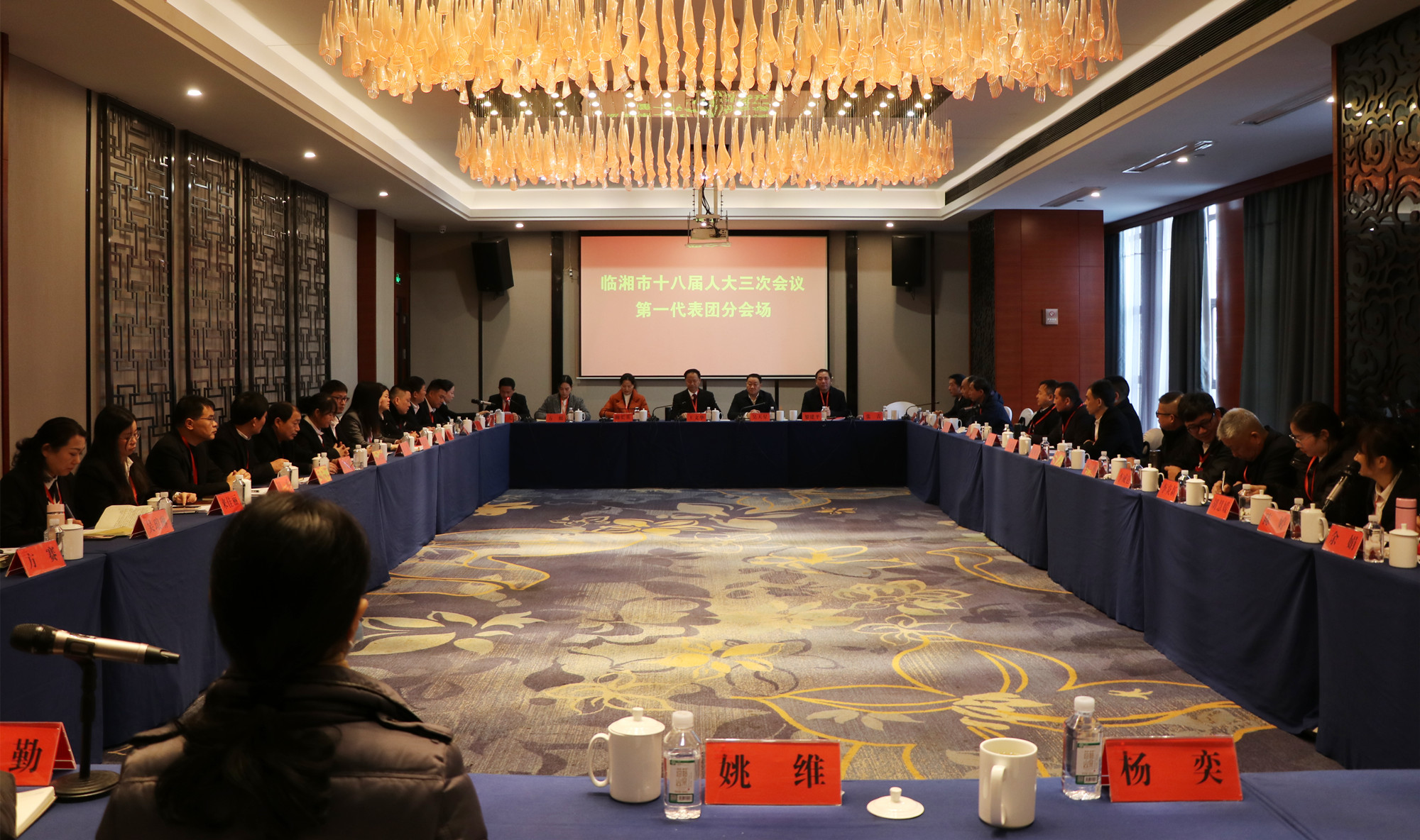 12.22书记市长 临湘市十八届人大三次会议分团讨论_副本.jpg