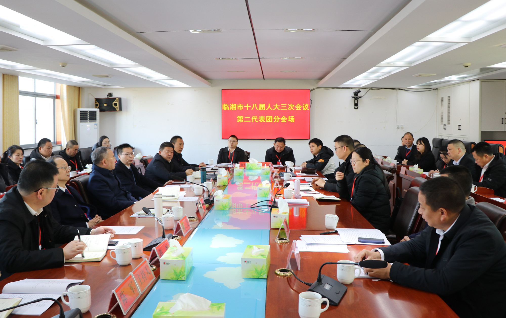 12.22书记市长 临湘市十八届人大三次会议分团讨论1_副本.jpg
