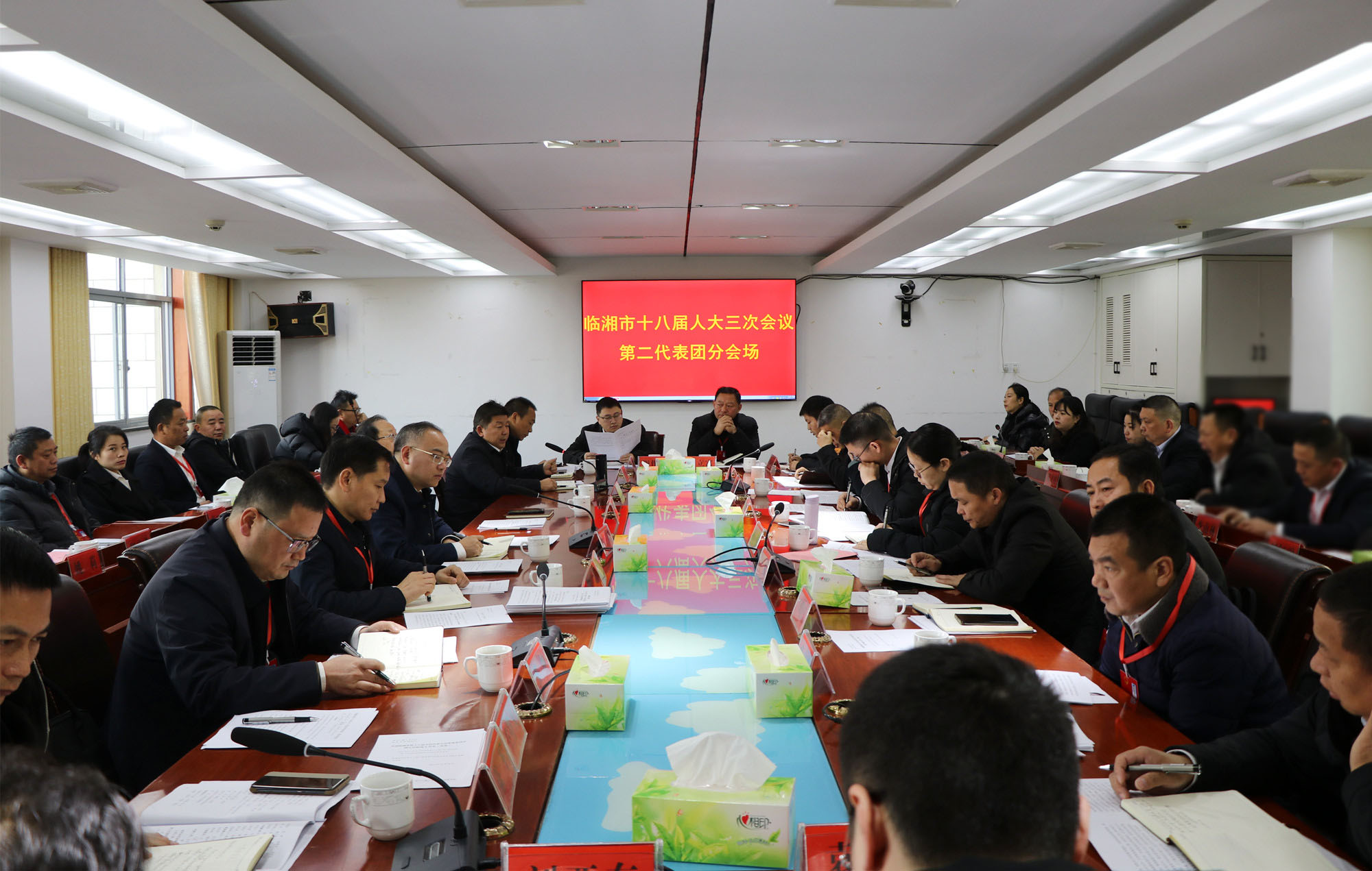 12.21书记市长 临湘市十八届人大三次会议分团讨论2_副本-1.jpg