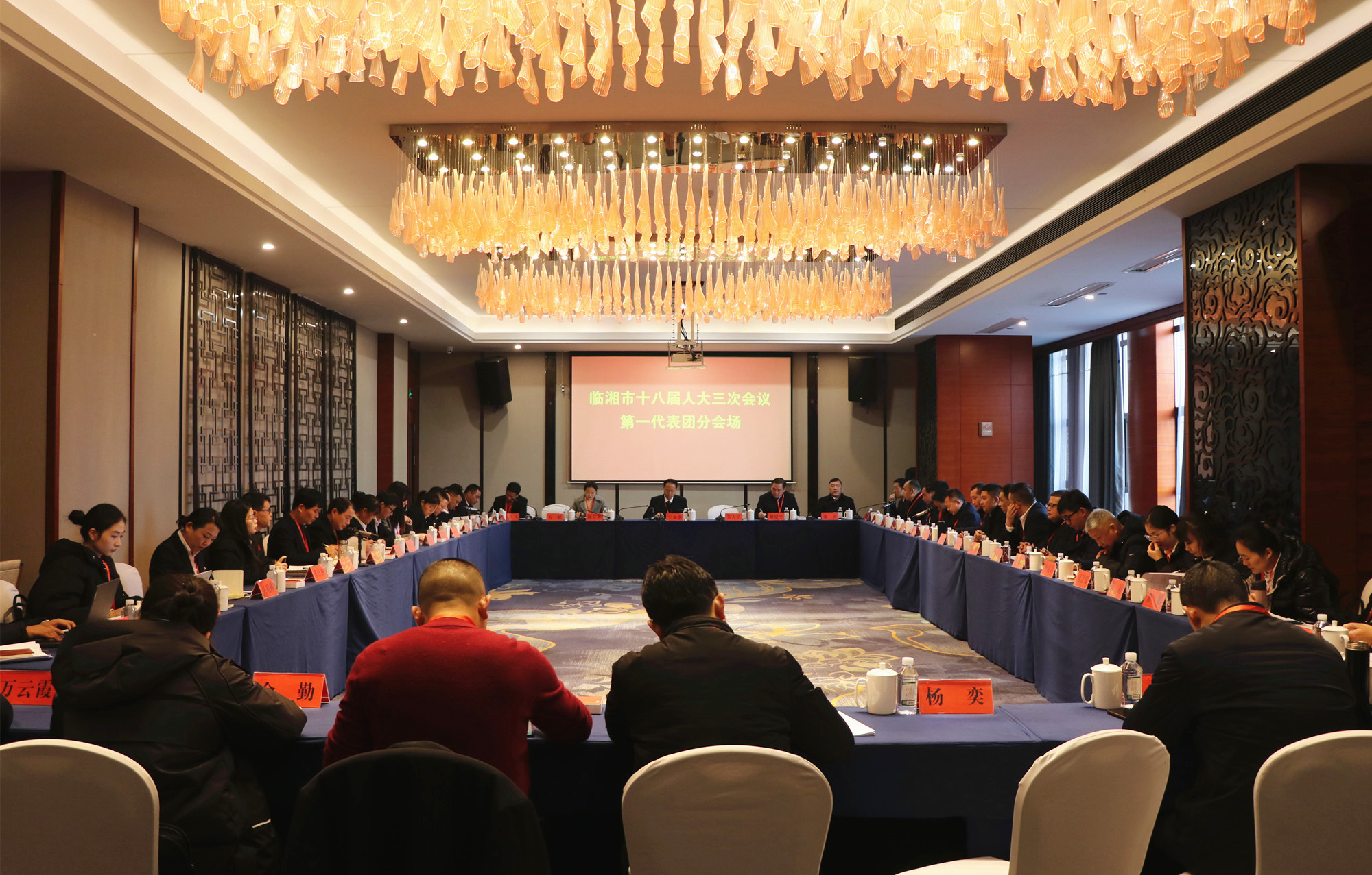 12.21书记市长 临湘市十八届人大三次会议分团讨论_副本.jpg
